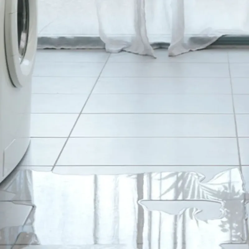Appliance Leak Cleanup in Athens, MI