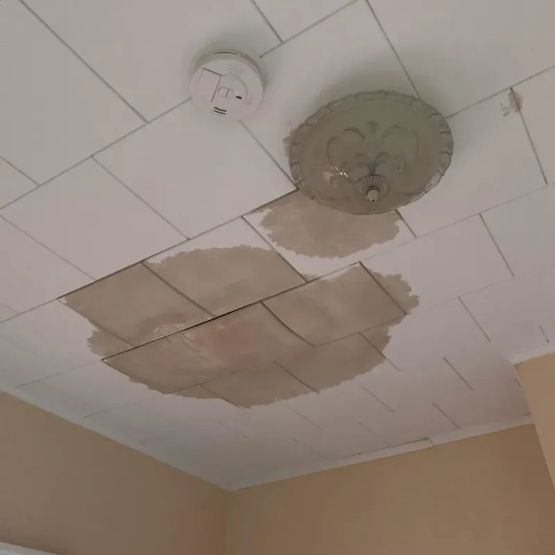 Ceiling Water Damage Repair in Athens, MI
