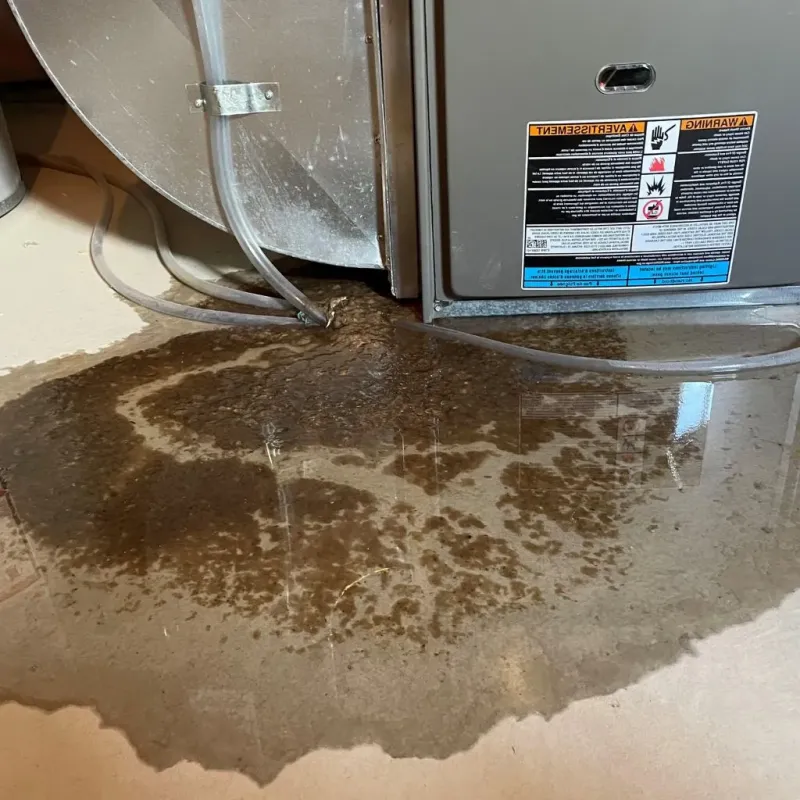 Pipe Burst and Leak Restoration in Athens, MI