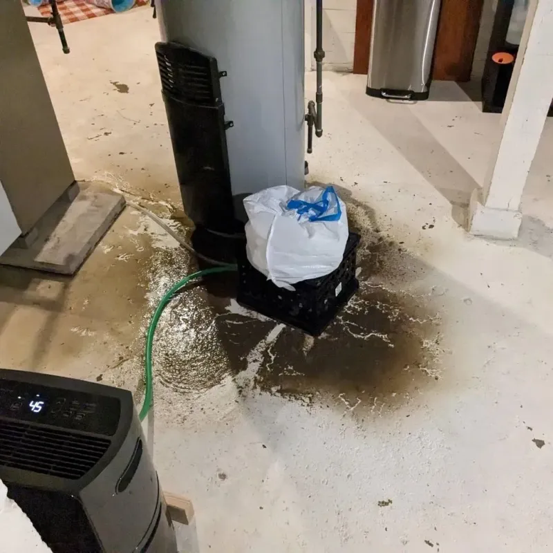 Sewage Backup Cleanup Service in Athens, MI
